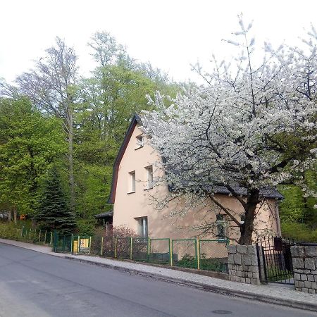 Willa Rozalia Sklářská Poruba Exteriér fotografie