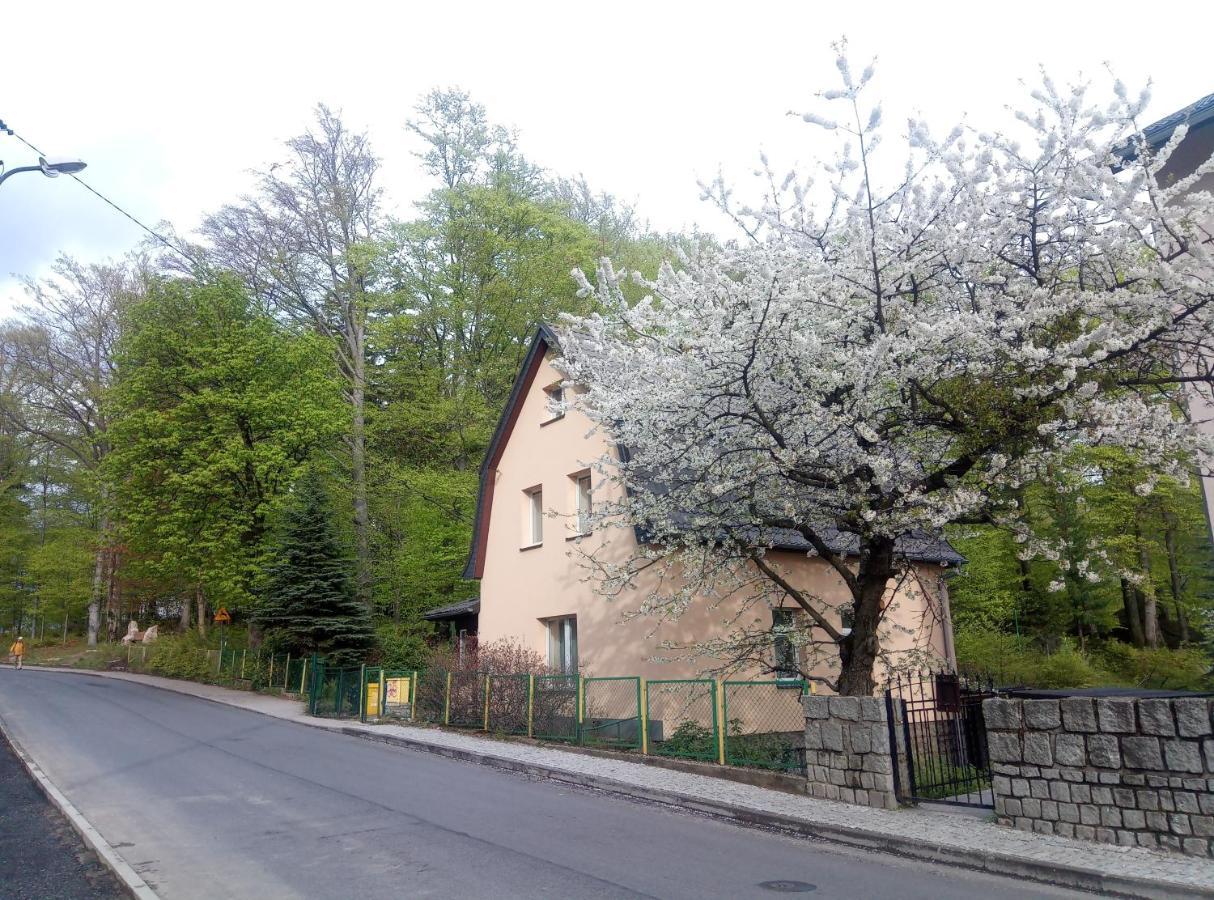 Willa Rozalia Sklářská Poruba Exteriér fotografie