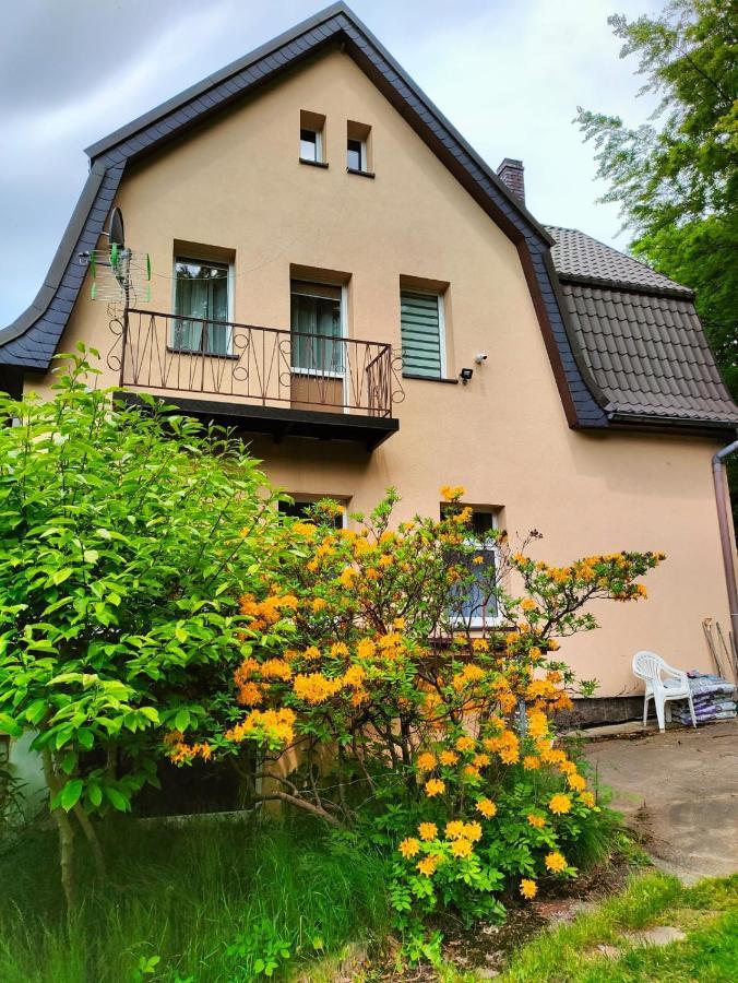 Willa Rozalia Sklářská Poruba Exteriér fotografie